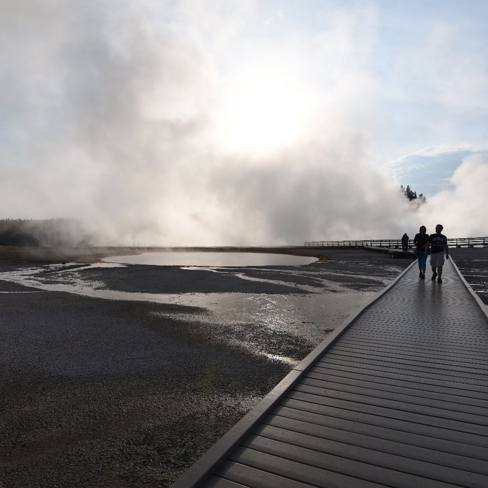 Meet your Posher, Brita!